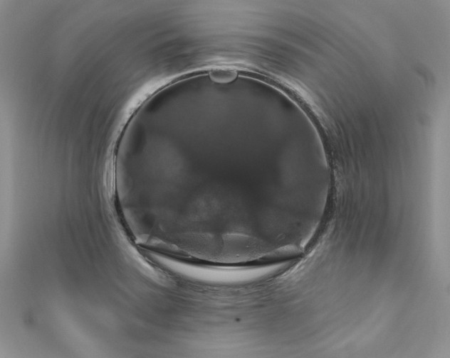 X0000111201371200907011424