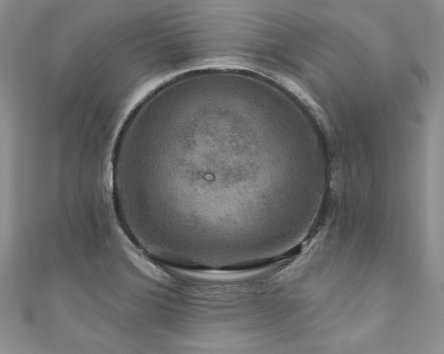 X0000111201372200907011424
