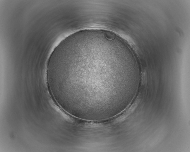X0000111201374200907011424