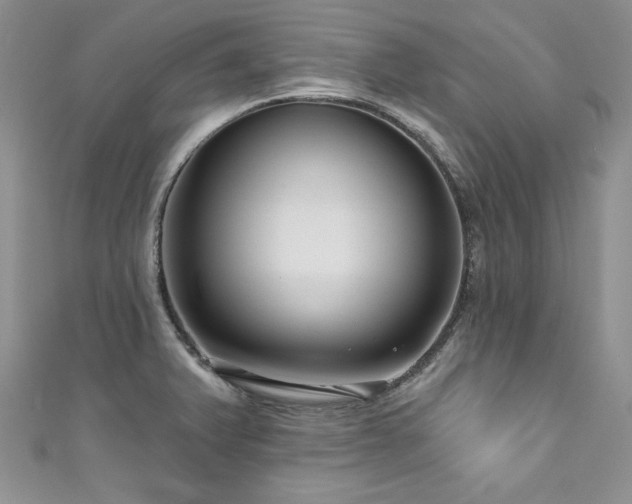 X0000111201375200907011424