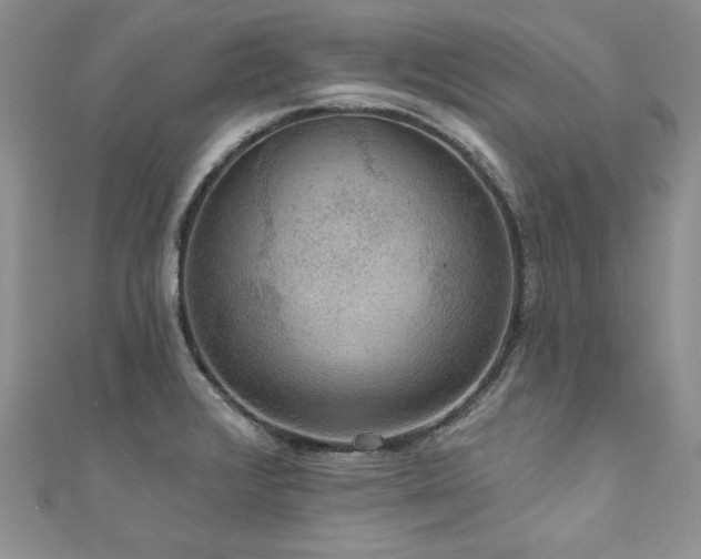 X0000111201376200907011424