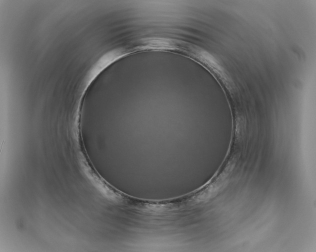 X0000111201378200907011424