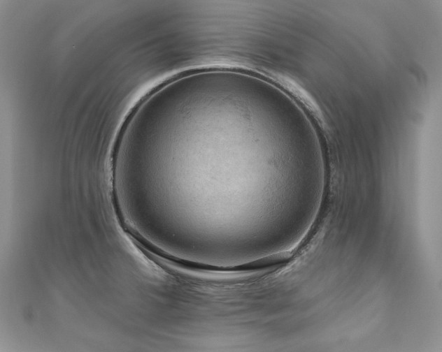 X0000111201380200907011424