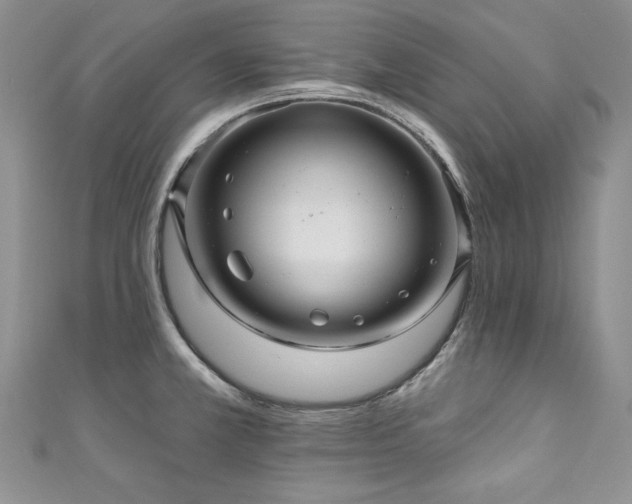 X0000111201381200907011424