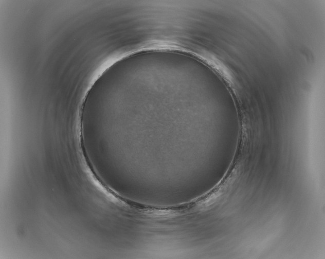 X0000111201382200907011424