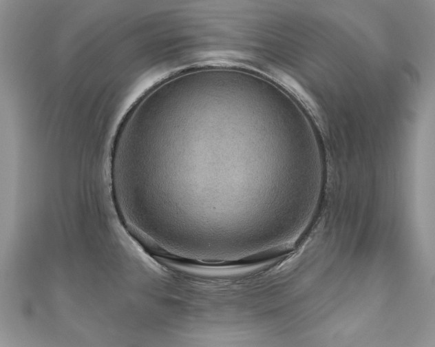 X0000111201384200907011424