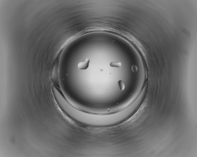 X0000111201385200907011424