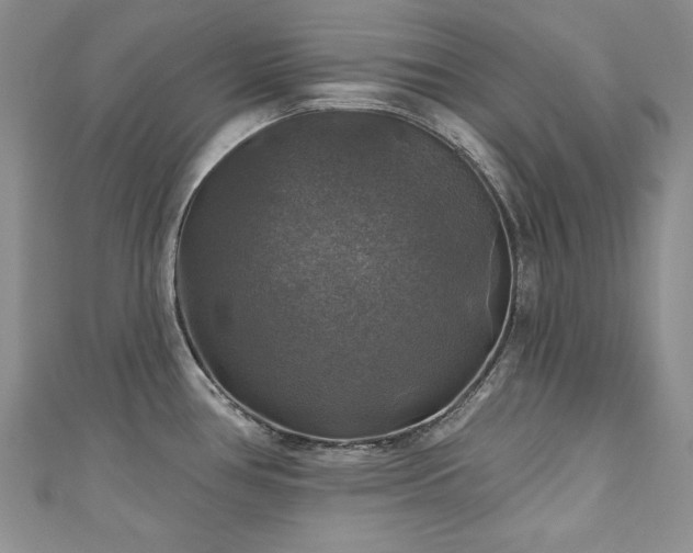 X0000111201386200907011424