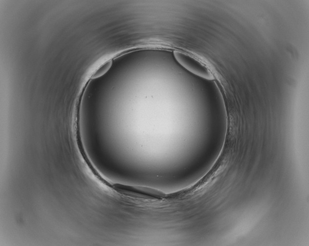X0000111201387200907011424