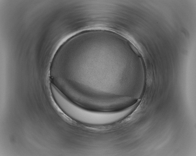 X0000111201388200907011424