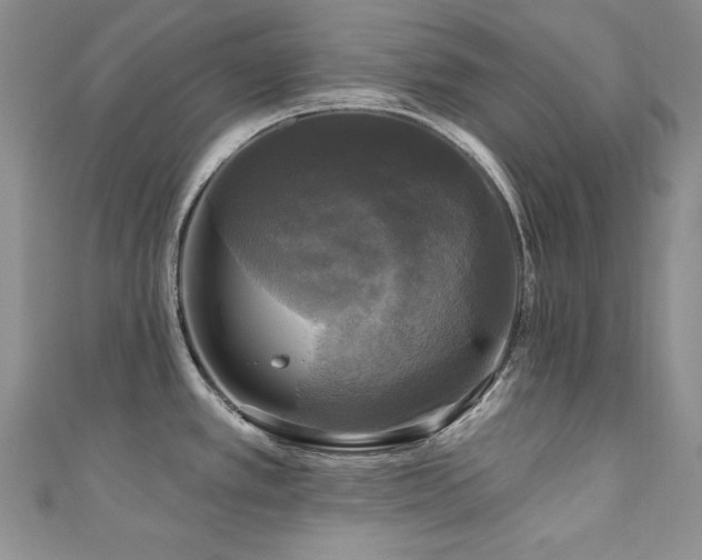 X0000111201389200907011424