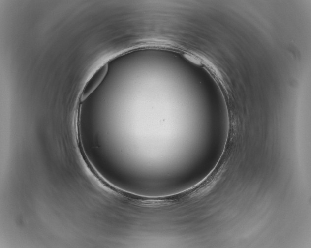 X0000111201391200907011424
