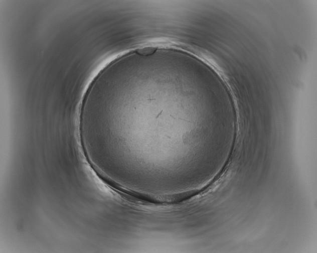 X0000111201392200907011424