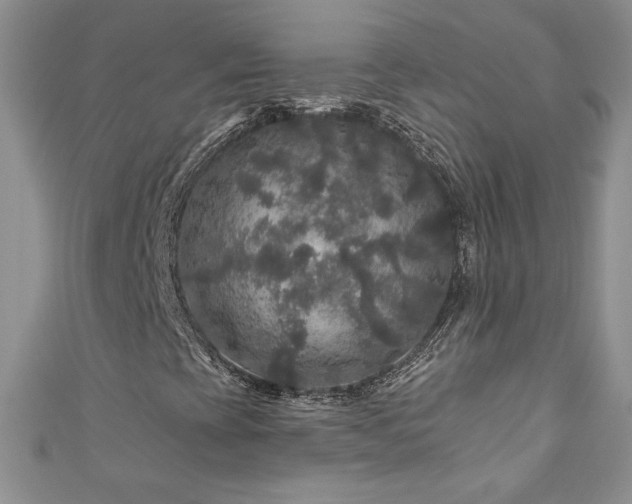 X0000111201393200907011423