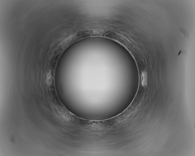 X0000111201395200907011423