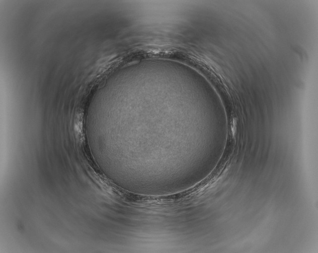 X0000111201396200907011423