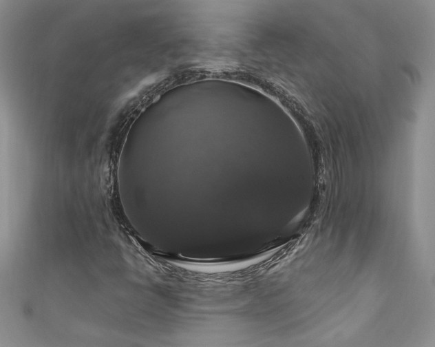 X0000111201398200907011423