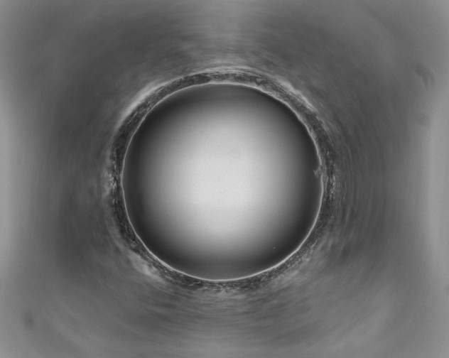 X0000111201400200907011423