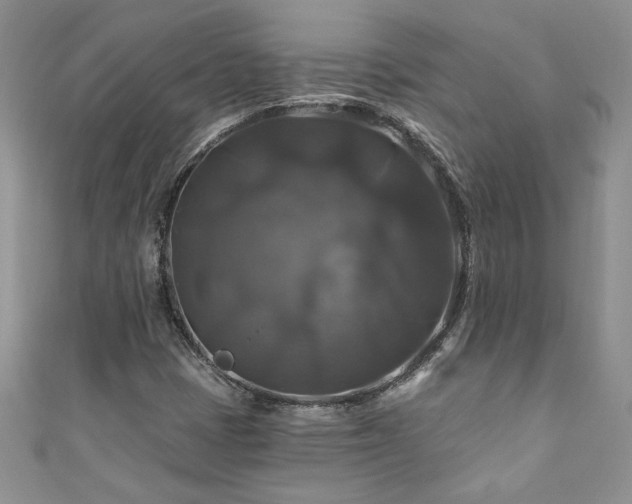 X0000111201401200907011423