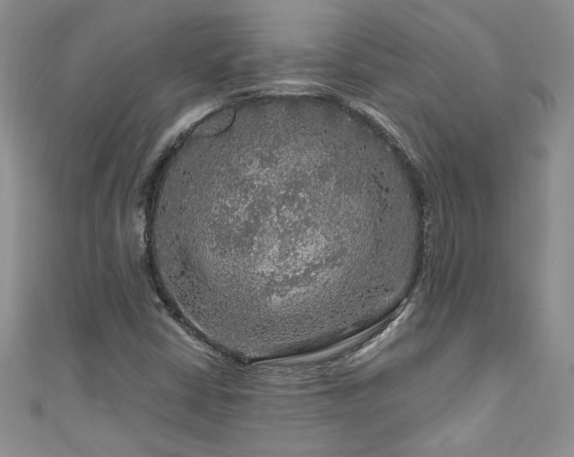 X0000111201402200907011423