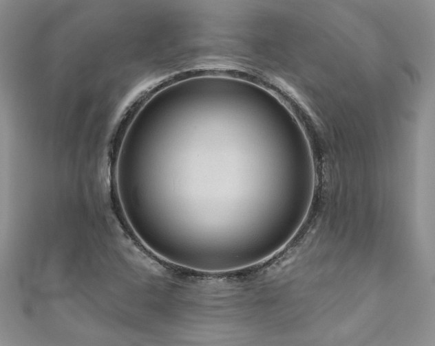 X0000111201408200907011423