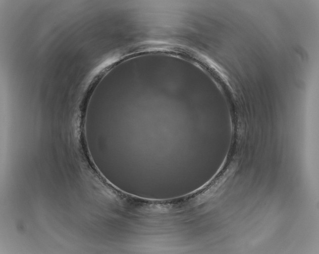 X0000111201411200907011423