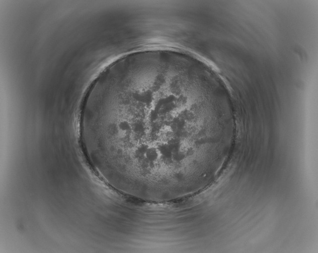 X0000111201415200907011423