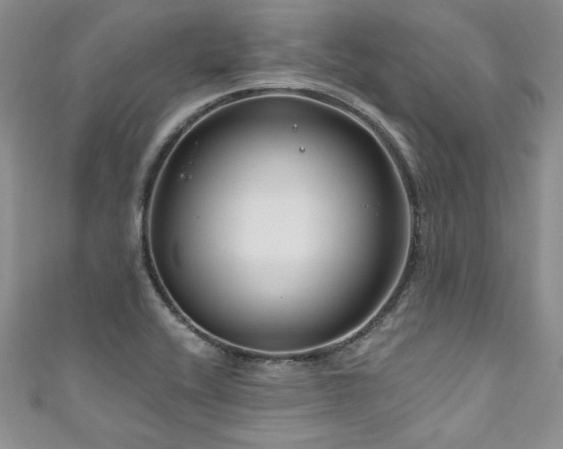 X0000111201416200907011423