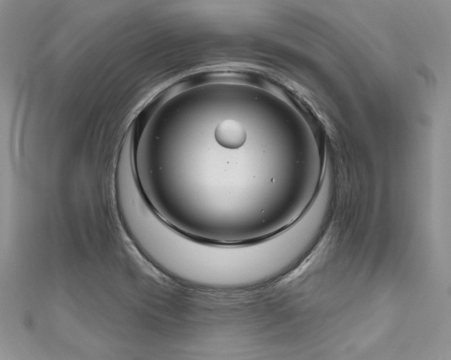 X0000111201417200907011423