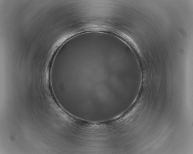 X0000111201419200907011423