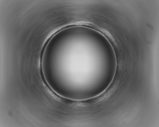 X0000111201420200907011423