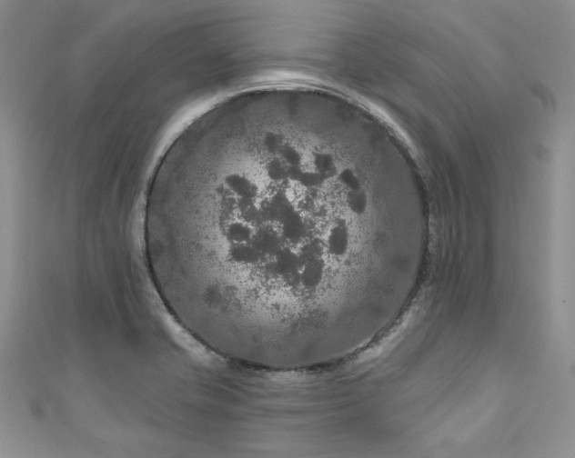 X0000111201421200907011423