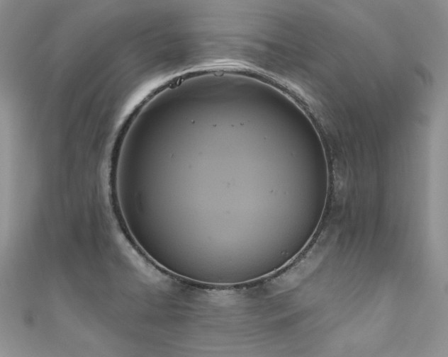 X0000111201422200907011423