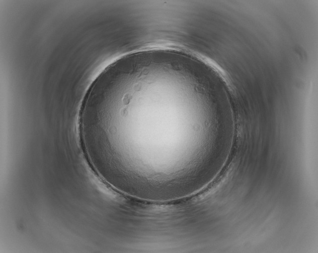 X0000111201423200907011423