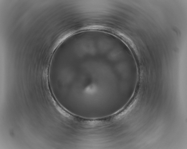 X0000111201425200907011423