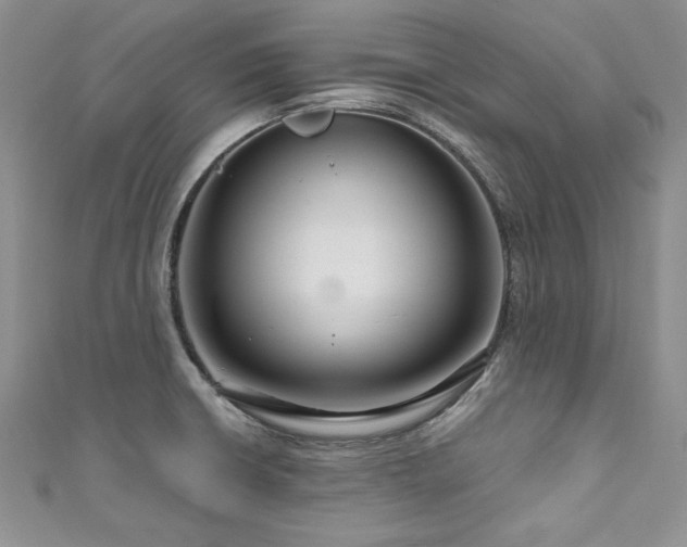 X0000111201426200907011423