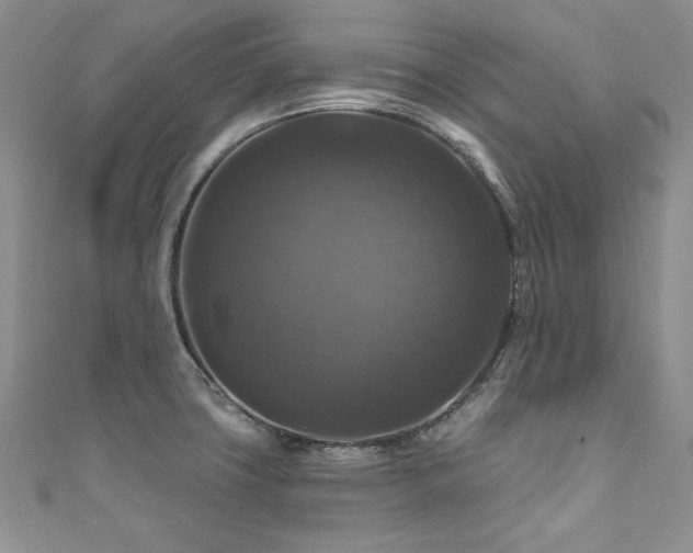 X0000111201427200907011423