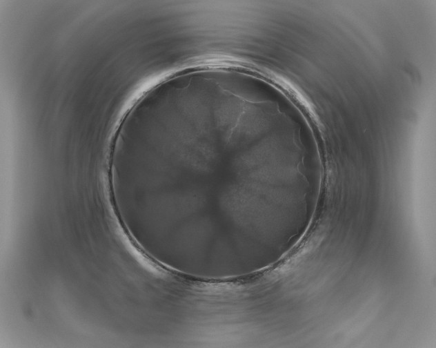 X0000111201429200907011423