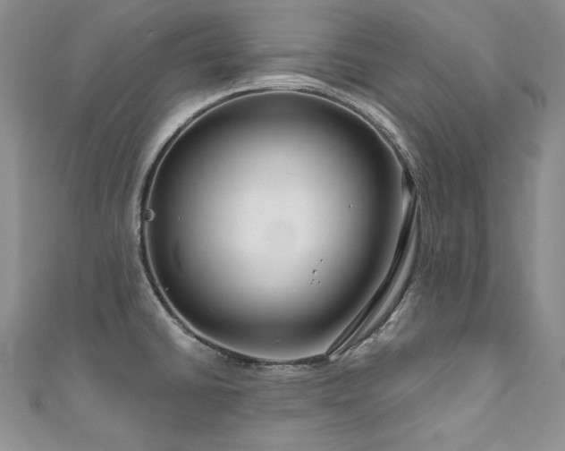 X0000111201430200907011423
