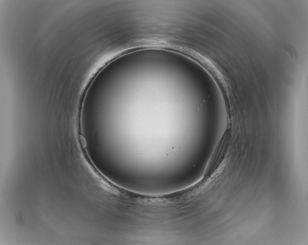 X0000111201432200907011423
