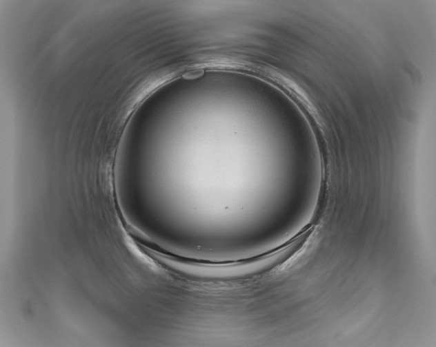 X0000111201433200907011423