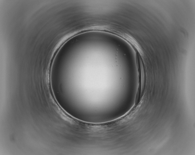 X0000111201436200907011423