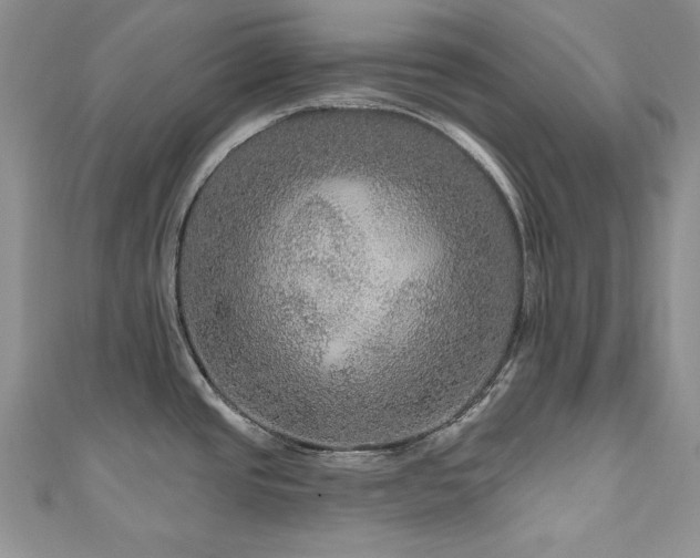 X0000111201437200907011423