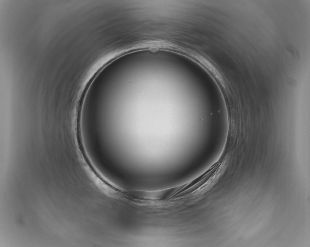 X0000111201438200907011423