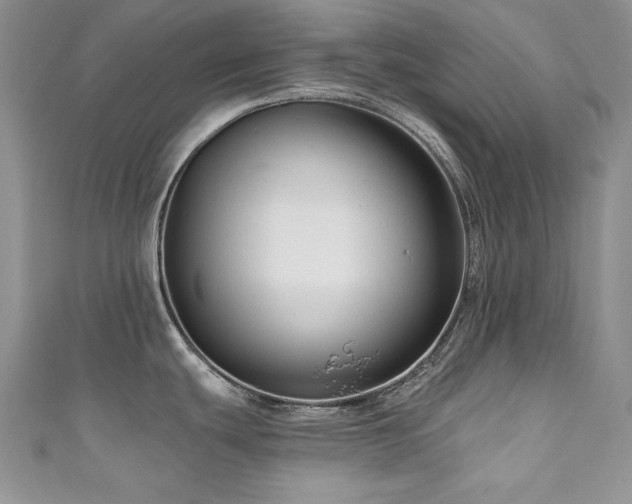 X0000111201439200907011423
