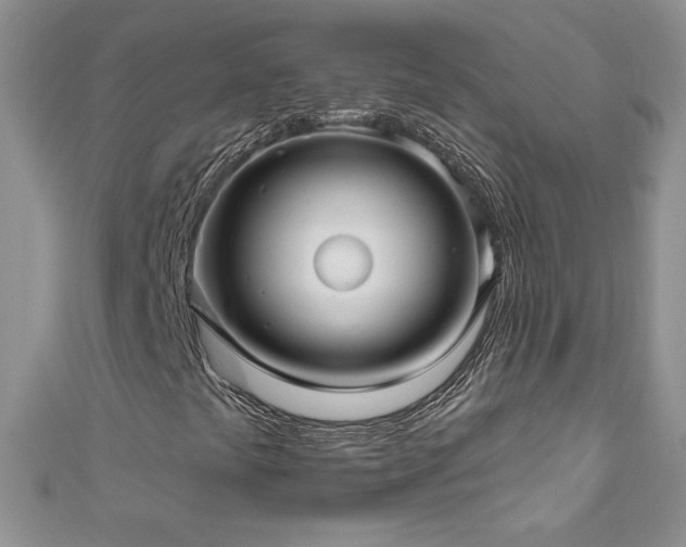 X0000111201441200907011423