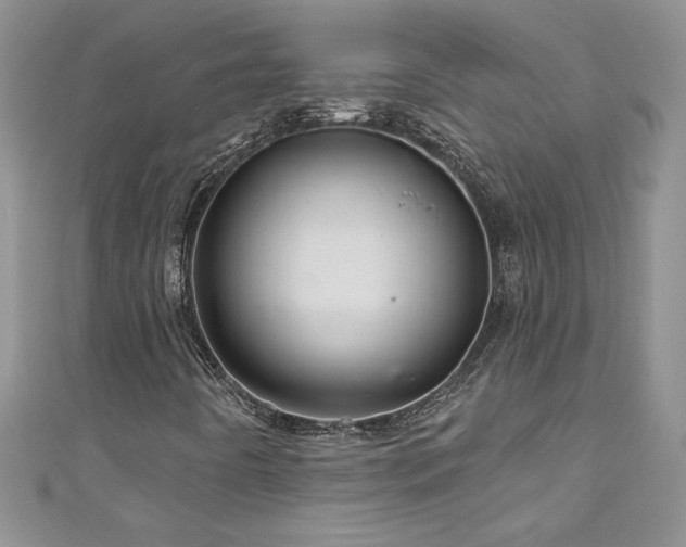X0000111201442200907011423
