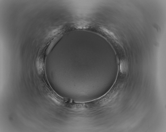 X0000111201444200907011423