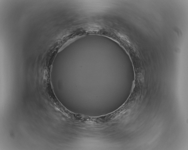 X0000111201445200907011423