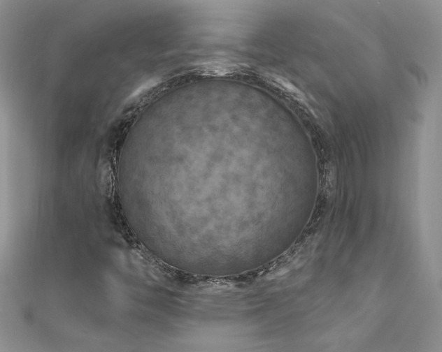 X0000111201446200907011423